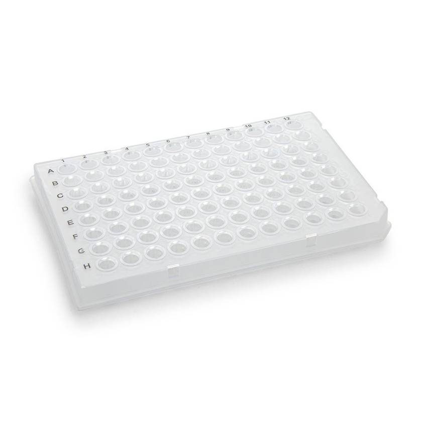 Globe Scientific PCR-HS-01 0.1 mL 96-Well PCR Plate, Half Skirt - Flat Top, Clear