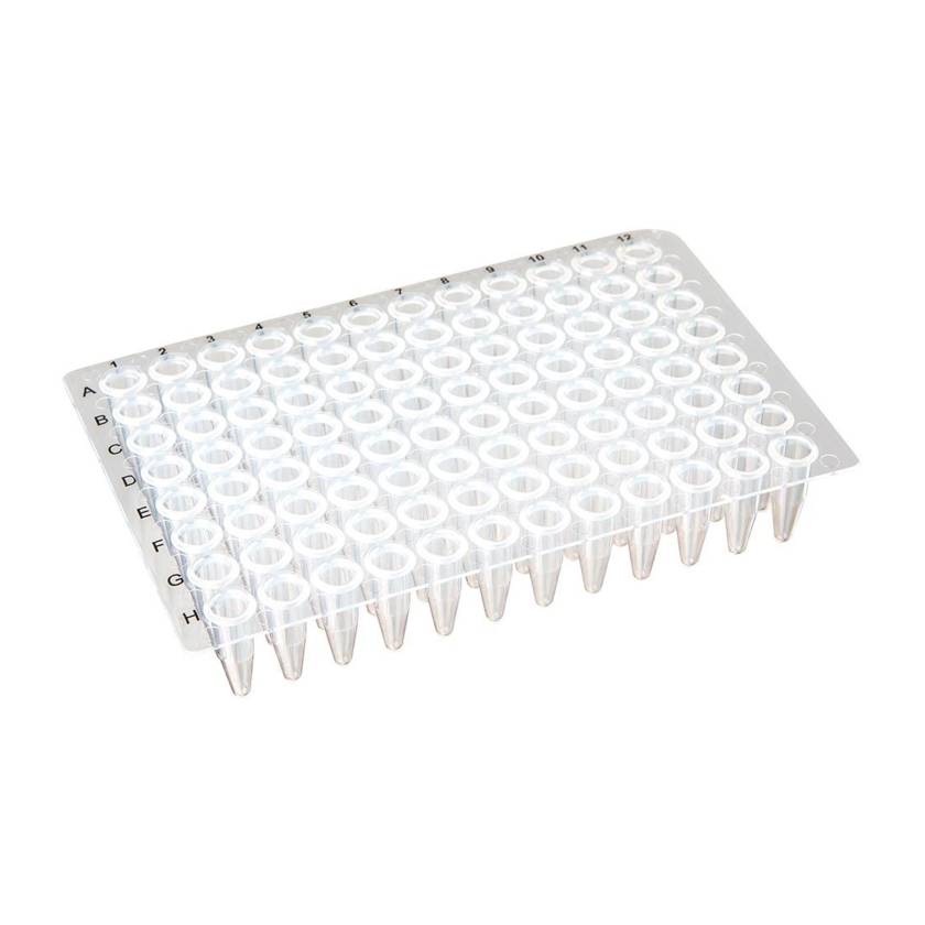 Globe Scientific PCR-NS-02 0.2 mL 96-Well PCR Plate, No Skirt - Flat Top, Clear