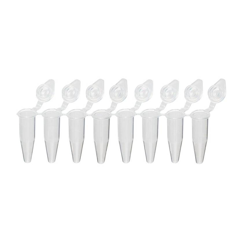 Globe Scientific PCR-QS-02D QuickSnap™ 0.2 mL 8-Strip PCR Tube with Individually Attached Cap - Dome Cap, Clear