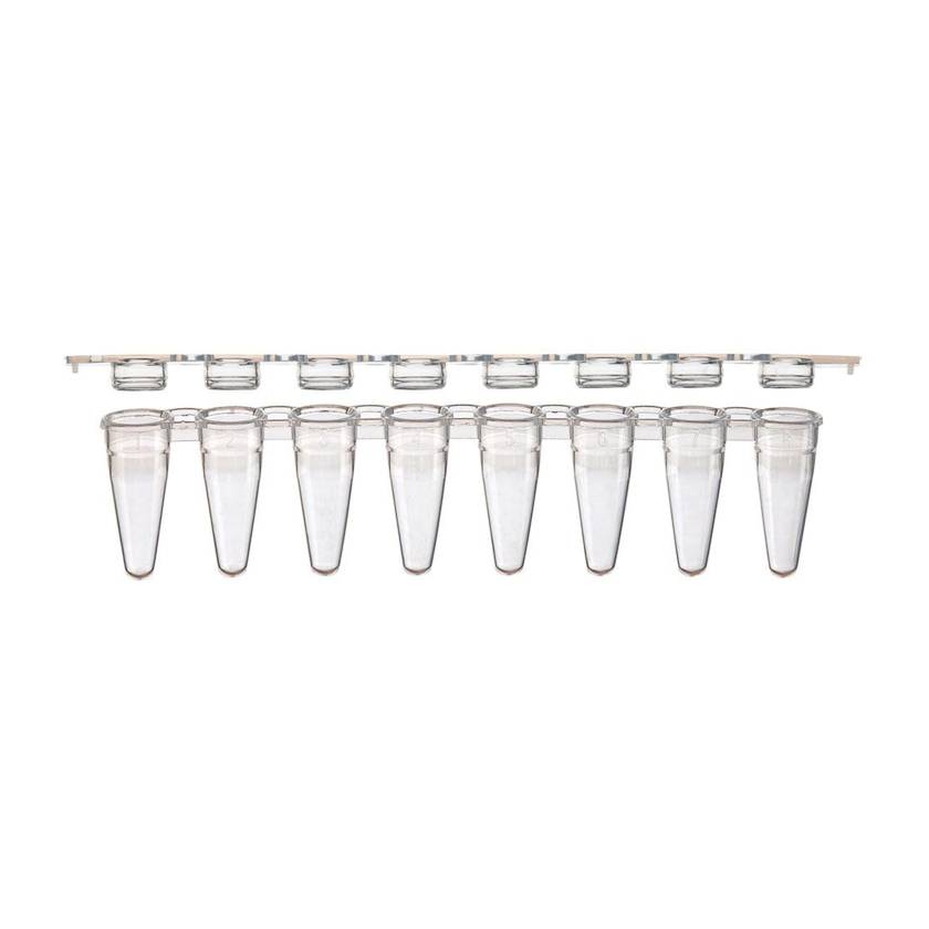 Globe Scientific PCR-STR-01F 0.1 mL 8-Strip Low Profile PCR Tube with Separate Flat Cap Strip - Natural
