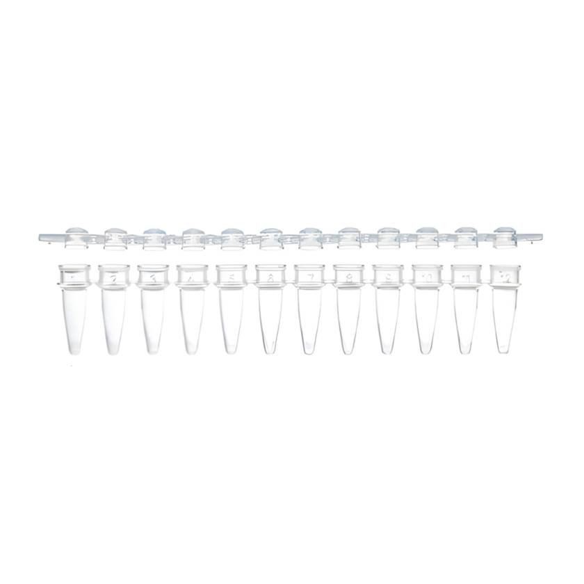 Globe Scientific PCR-STR-02D-12 0.2 mL 12-Strip PCR Tube with Separate Cap Strip - Dome Cap