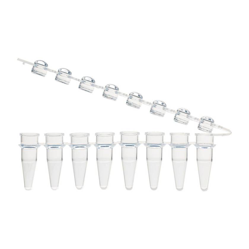 Globe Scientific PCR-STR-02D-ZIP 0.2 mL 8-Strip PCR Tube with Hinged Attached Cap Strip - Dome Cap