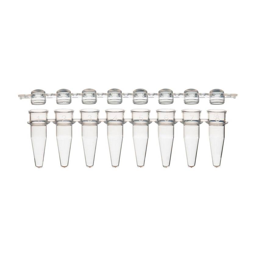 Globe Scientific PCR-STR-02D 0.2 mL 8-Strip PCR Tube with Separate Cap Strip - Dome Cap