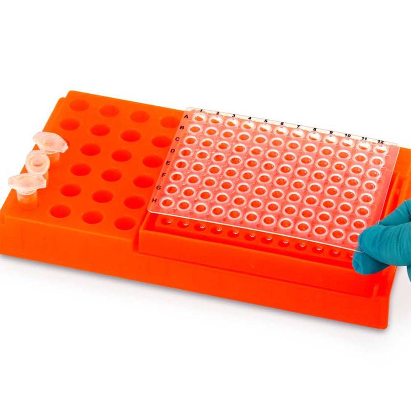Globe Scientific PCR Work Rack