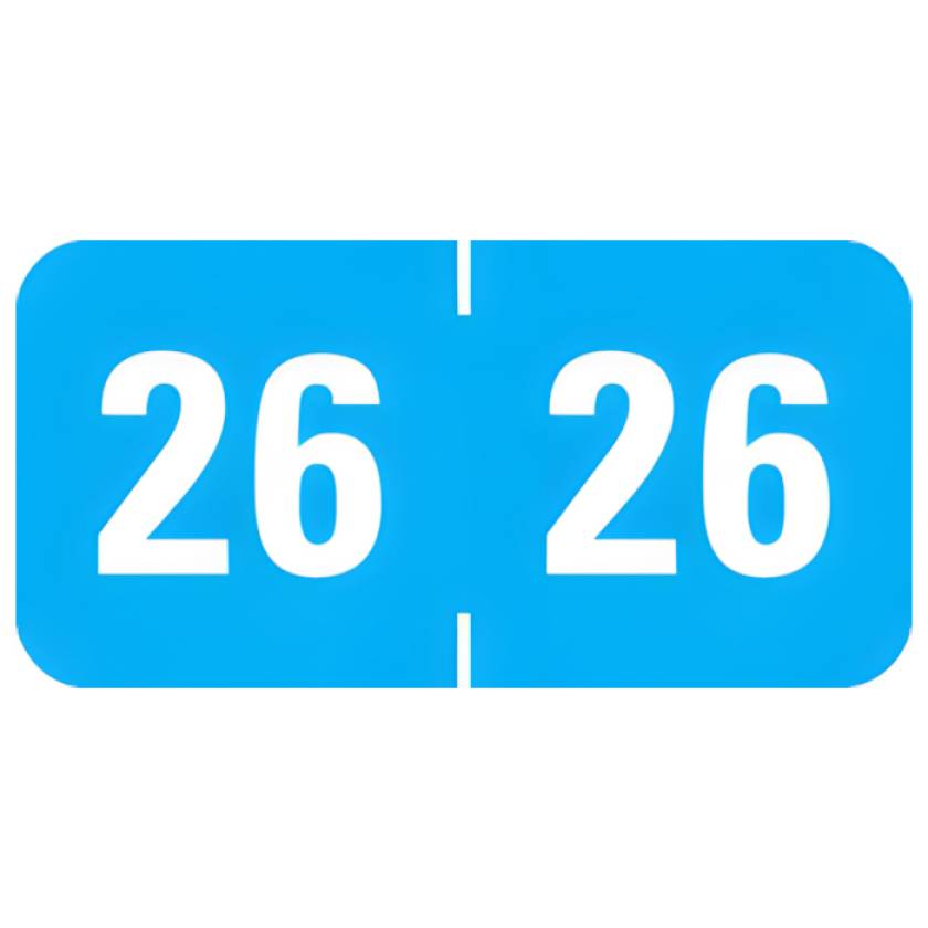 Arden Label PFYV-26-T4 Profile Compatible PFYV Series 2026 Year Labels - Size 3/4" H x 1 1/2" W