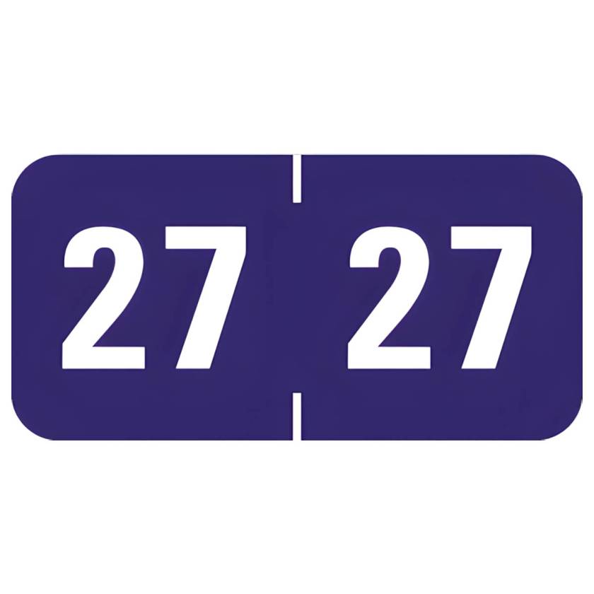 Arden Label PFYV-27-T4 Profile Compatible PFYV Series 2027 Year Labels - Size 3/4" H x 1 1/2" W