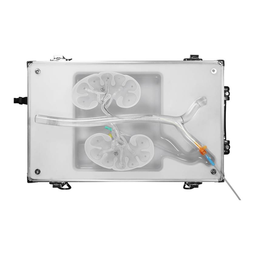 SurgMate RDN-B01 Renal Artery Wiring and Spiral Ablation Training Platform (Cable Wire Accessory is Not Included)