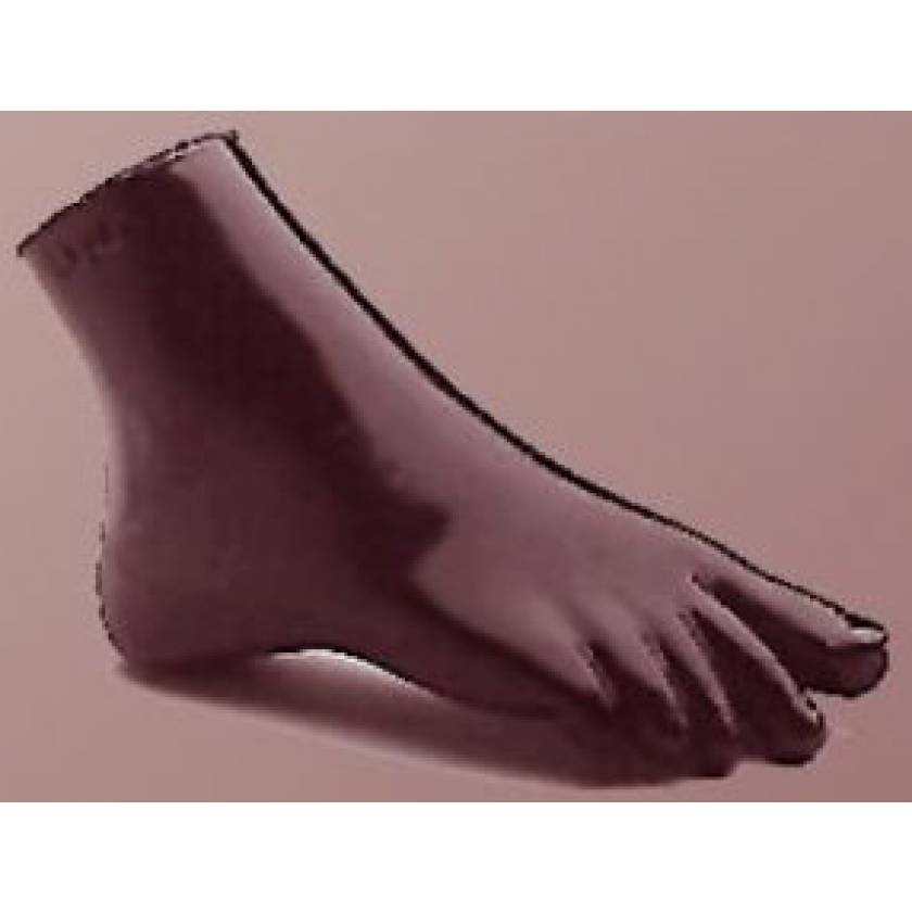 RSD Anthropomorphic Plantar Flexion Ankle Phantom