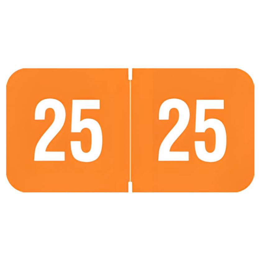 Arden Label RY3R-25 Reynolds & Reynolds Compatible RY3R Series 2025 Year Labels for Ringbook - Size 3/4" H x 1 1/2" W