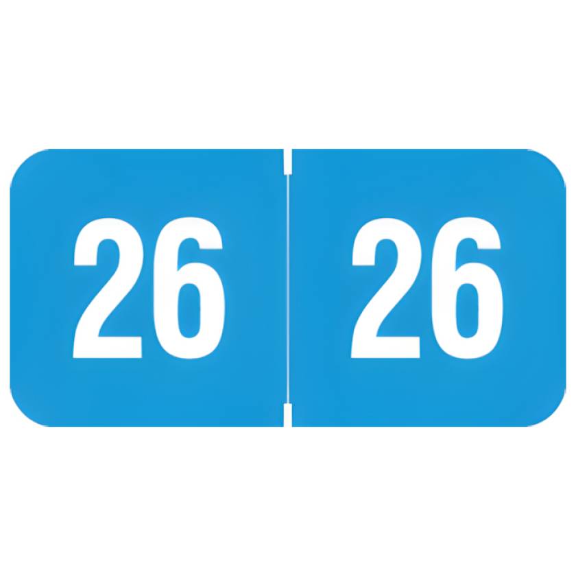 Arden Label RY3R-26 Reynolds & Reynolds Compatible RY3R Series 2026 Year Labels for Ringbook - Size 3/4" H x 1 1/2" W