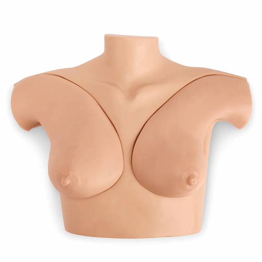 SB48847L Gaumard Breast Phantom Simulator - Light Skin Tone