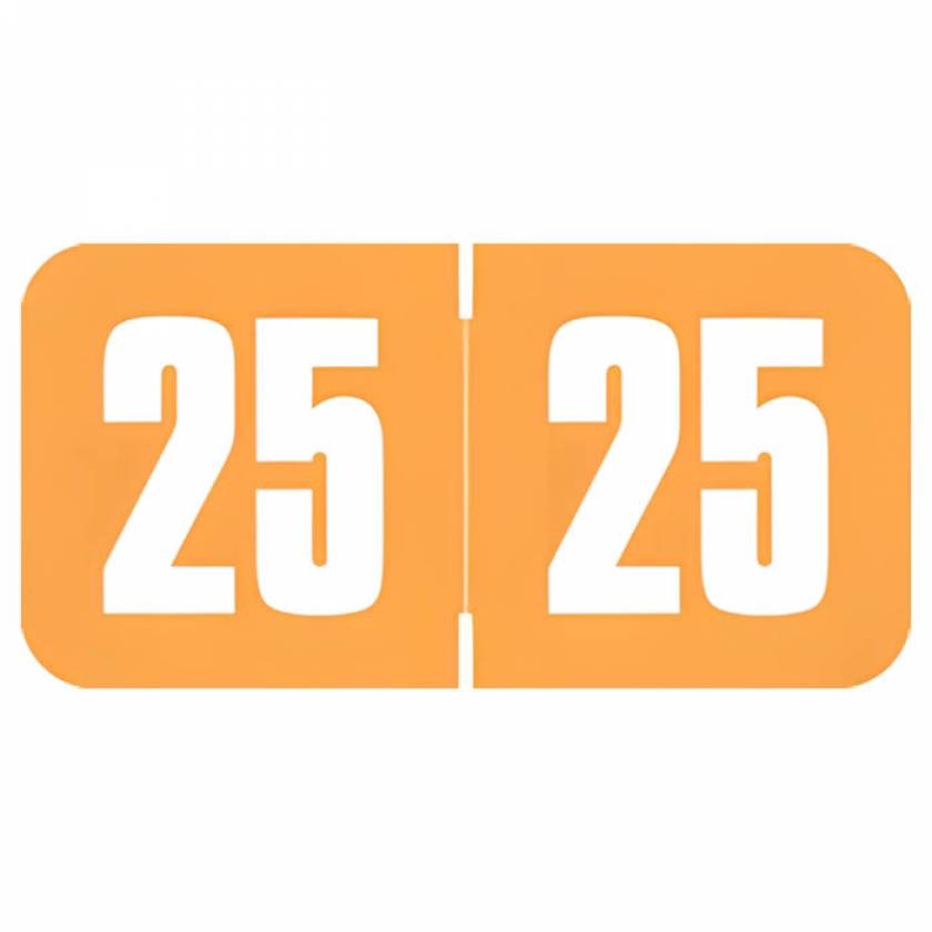 Arden Label SGYM-25-T4 Safeguard Compatible SGYM Series 2025 Year Labels - Size 3/4" H x 1 1/2" W