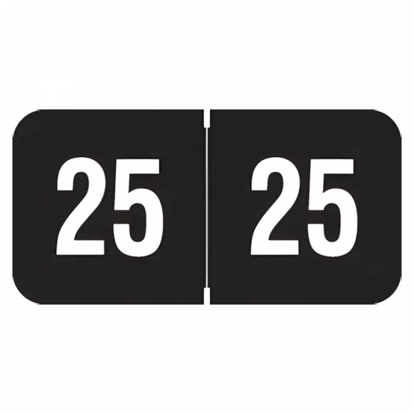 Arden Label SJYM-25-T4 Smead ETYJ Compatible SJYM Series 2025 Year Labels - Size 3/4" H x 1 1/2" W