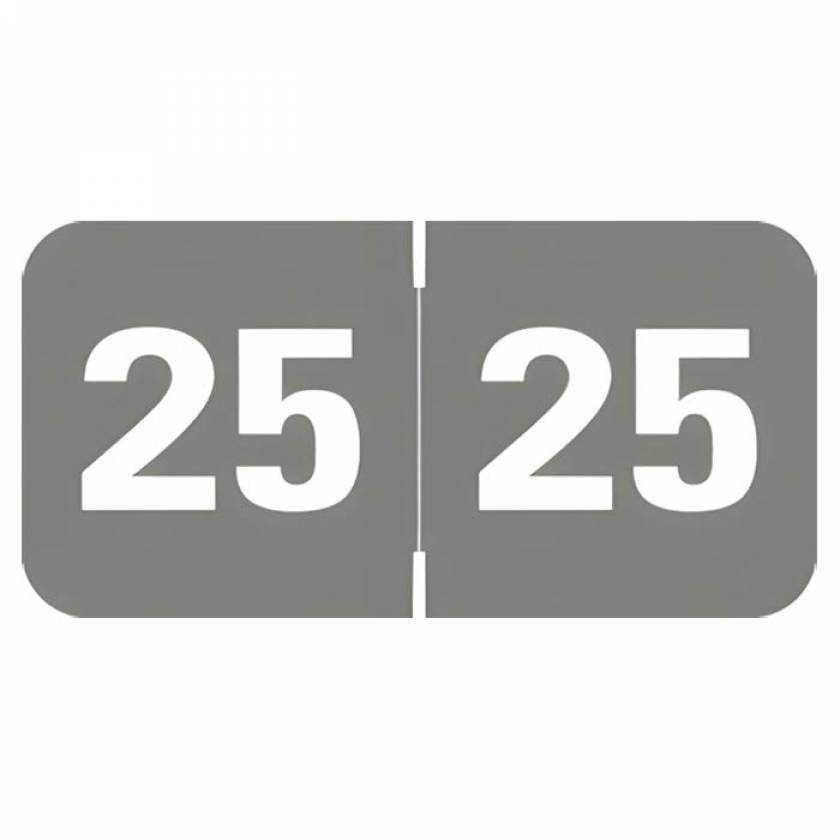 Arden Label TAYM-25-T4 Tabbies 70200 Compatible TAYM Series 2025 Year Labels - Size 3/4" H x 1 1/2" W
