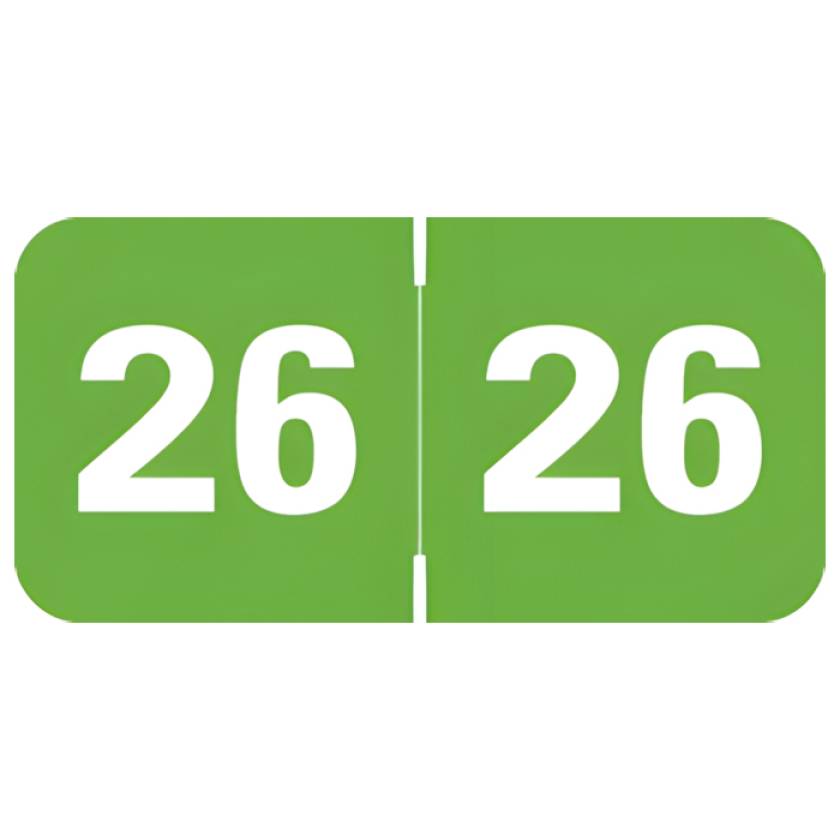 Arden Label TAYM-26-T4 Tabbies 70200 Compatible TAYM Series 2026 Year Labels - Size 3/4" H x 1 1/2" W