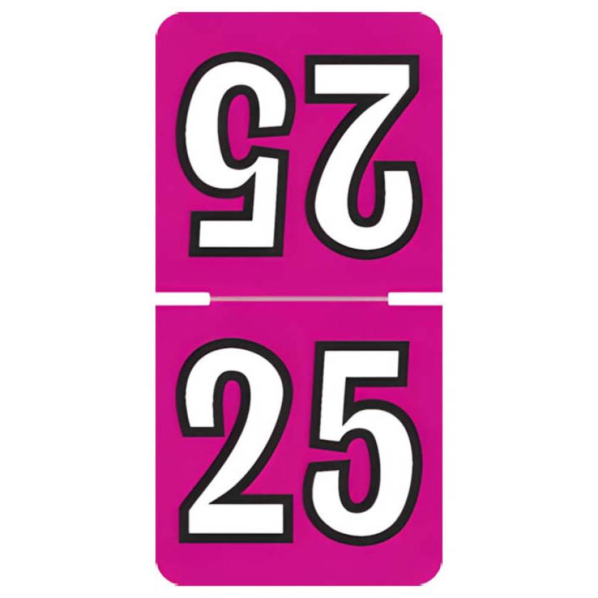 Arden Label TCPK-25 Colwell Compatible TCPK Series 2025 Top-Tab Year Labels - Size 1" H x 1/2" W