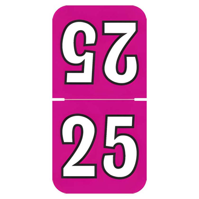 Arden Label TCYM-25-T4 Colwell Compatible TCYM Series 2025 Top-Tab Year Labels - Size 1 1/2" H x 3/4" W