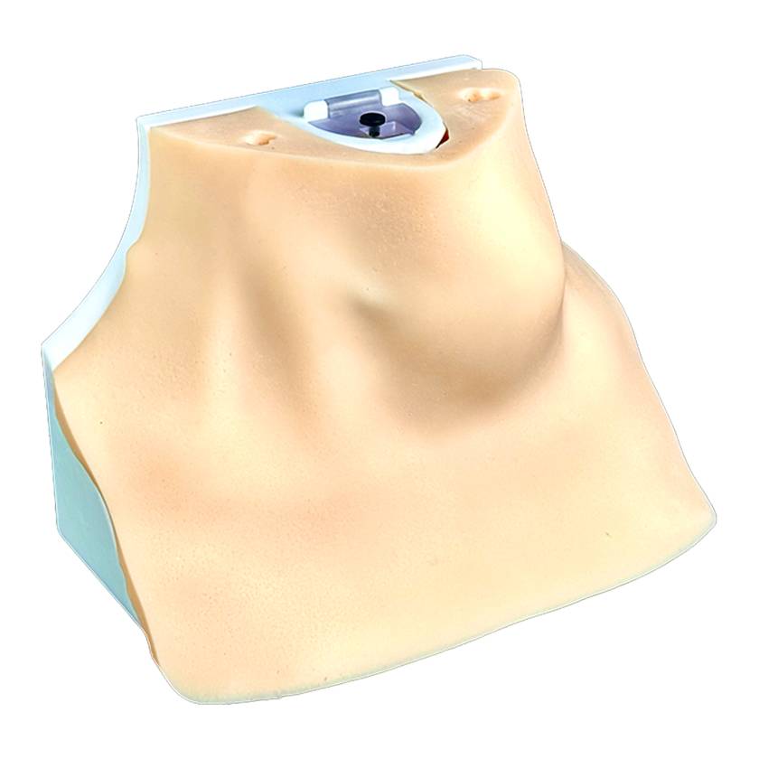 SurgMate THY-S07 Neck Muscle Pad for Enlarged Thyroid Pad (Trachea Base is Sold Separately)