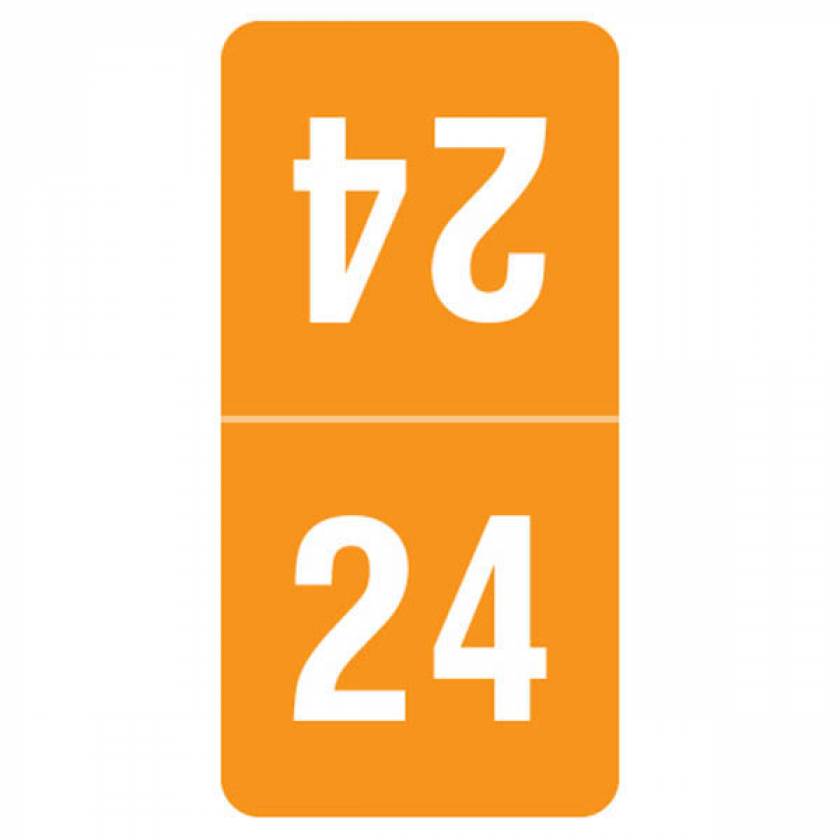 Arden Label TTPK-24 2024 Top-Tab Year Labels - Smead Compatible TTPK Series- Size 1" H x 1/2" W