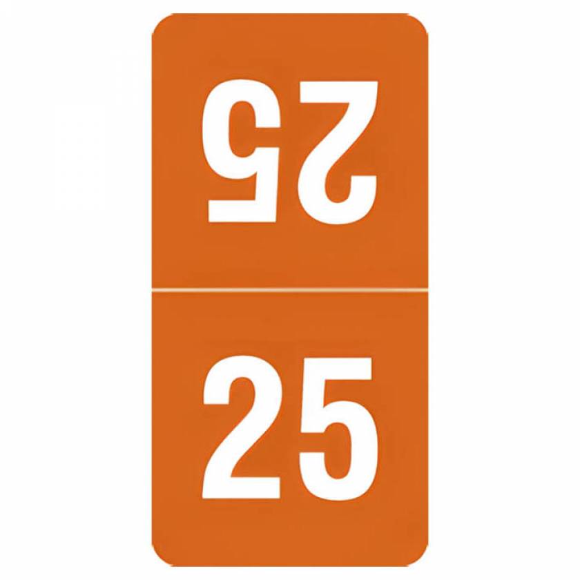 Arden Label TTYM-25-S4 Smead Compatible TTYM Series 2025 Top-Tab Year Labels - Size 1" H x 1/2" W