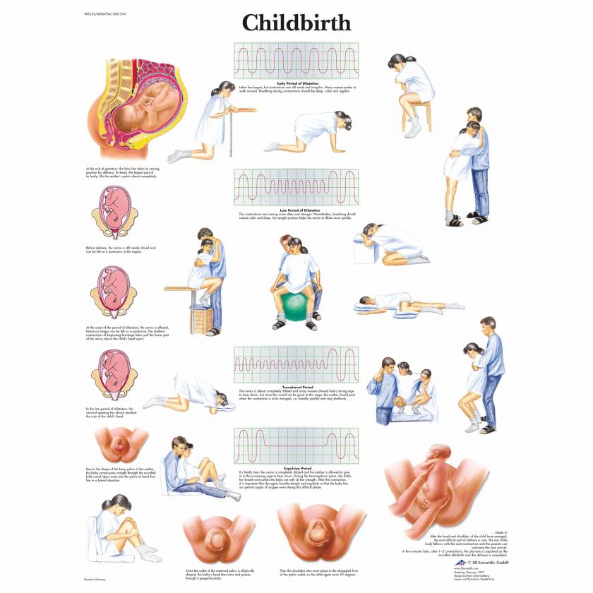 Childbirth Chart