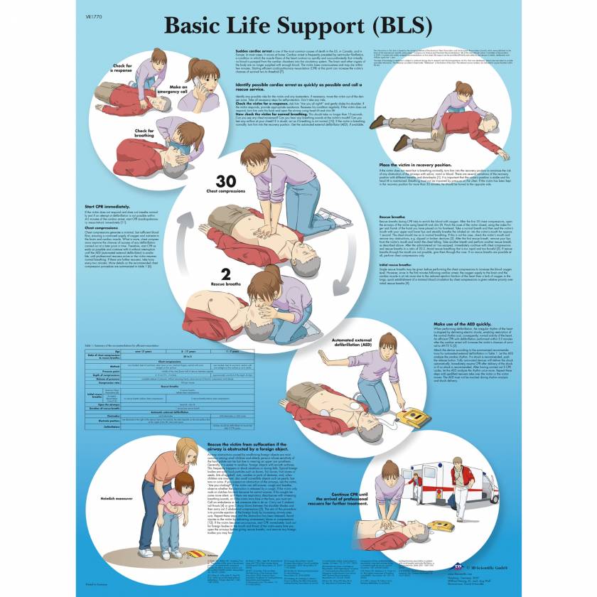 Basic Life Support Chart