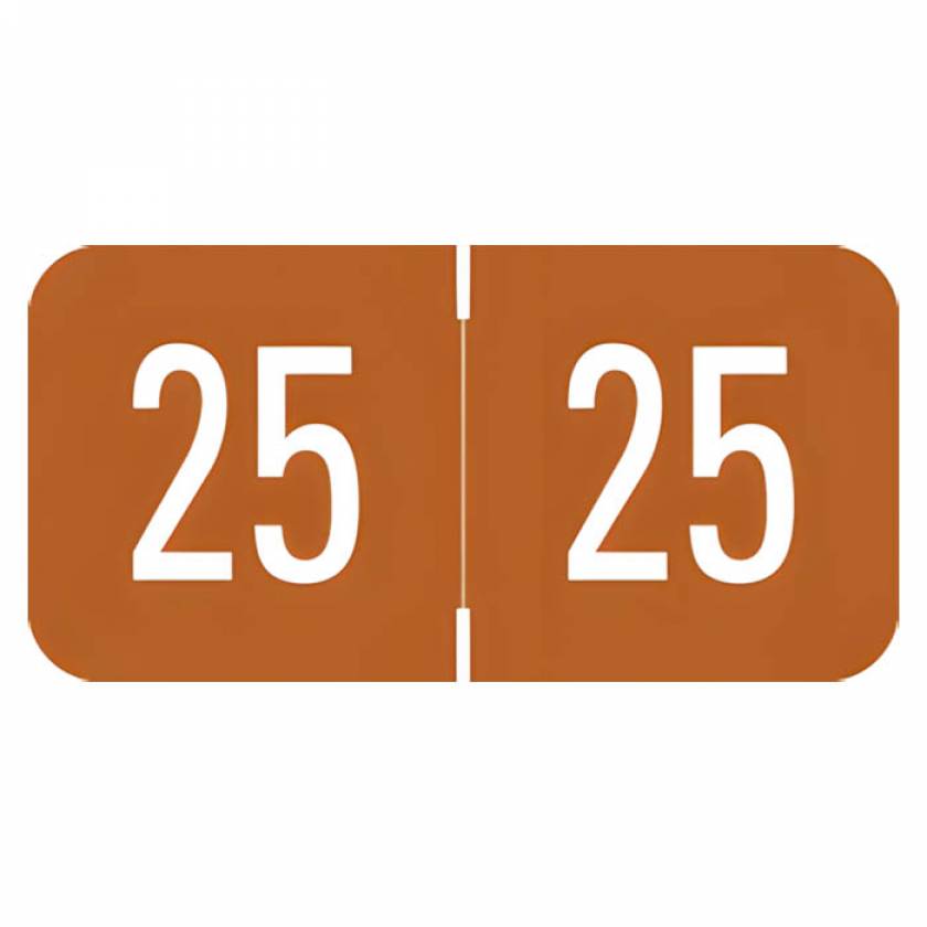 Arden Label VRYM-25-T4 VRE / GBS Compatible VRYM Series 2025 Year Labels - Size 3/4" H x 1 1/2" W