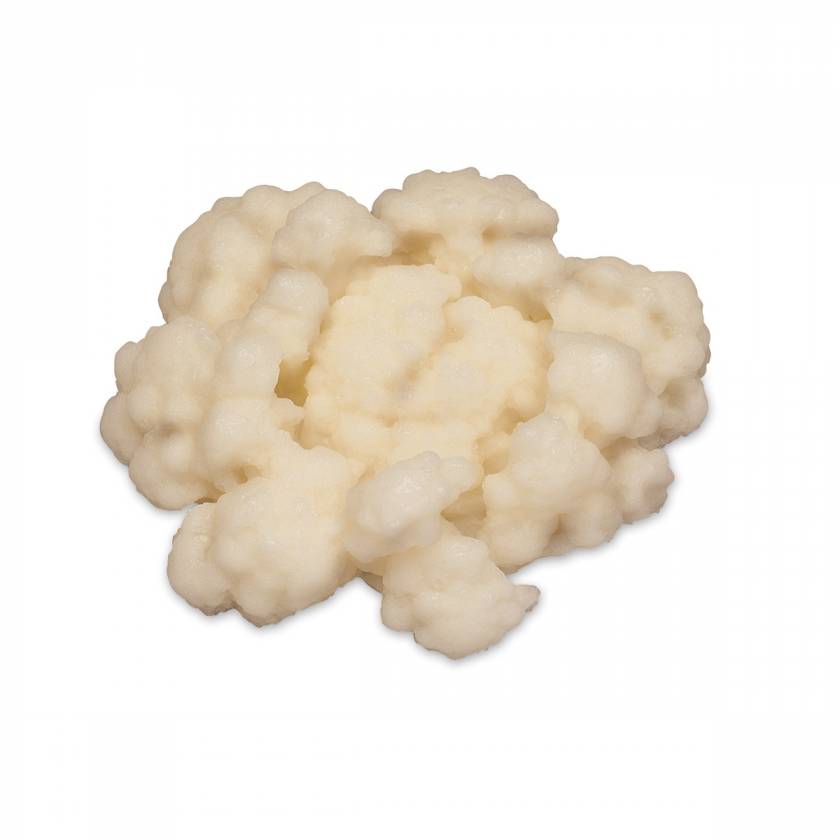 Life/form Cauliflower Food Replica