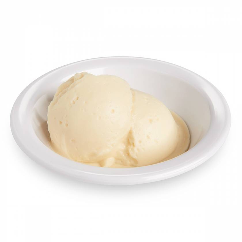 Life/form Ice Cream Food Replica - Vanilla - 1 cup (240 ml)