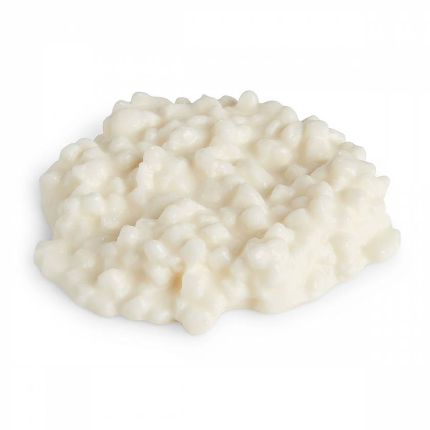 Life/form Cottage Cheese Food Replica - 1/4 Cup