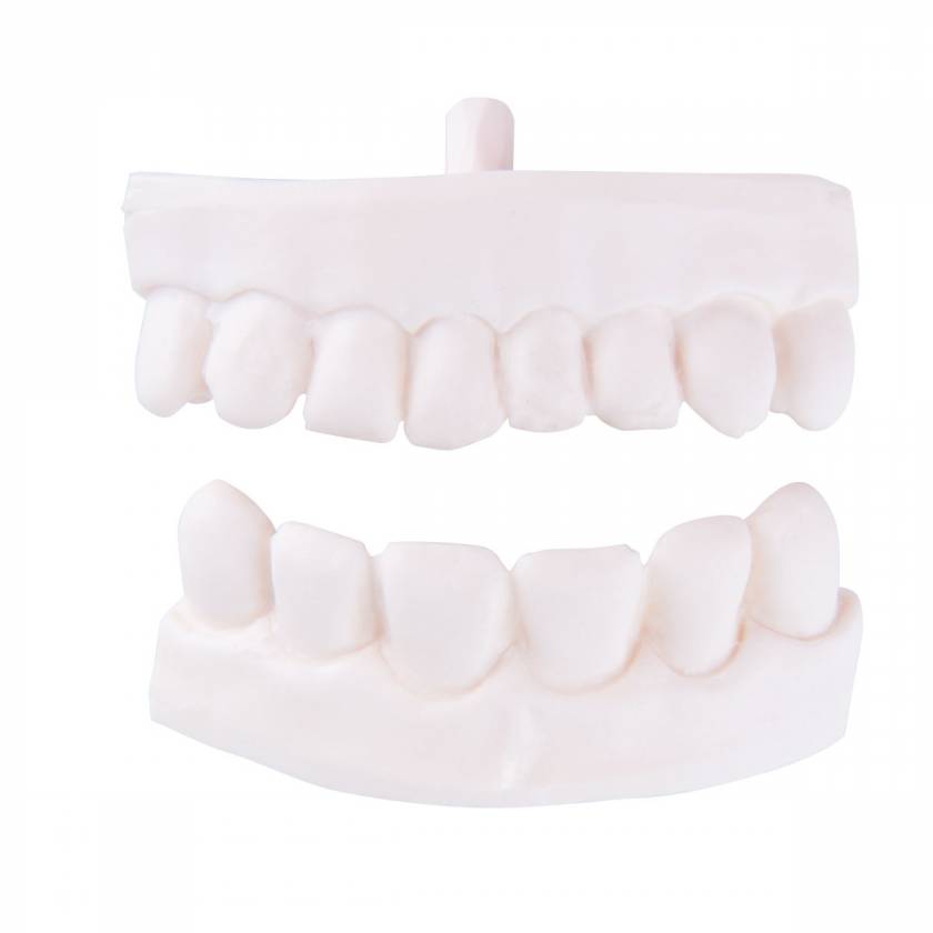 Replacement Partial Denture For P10 and P11
