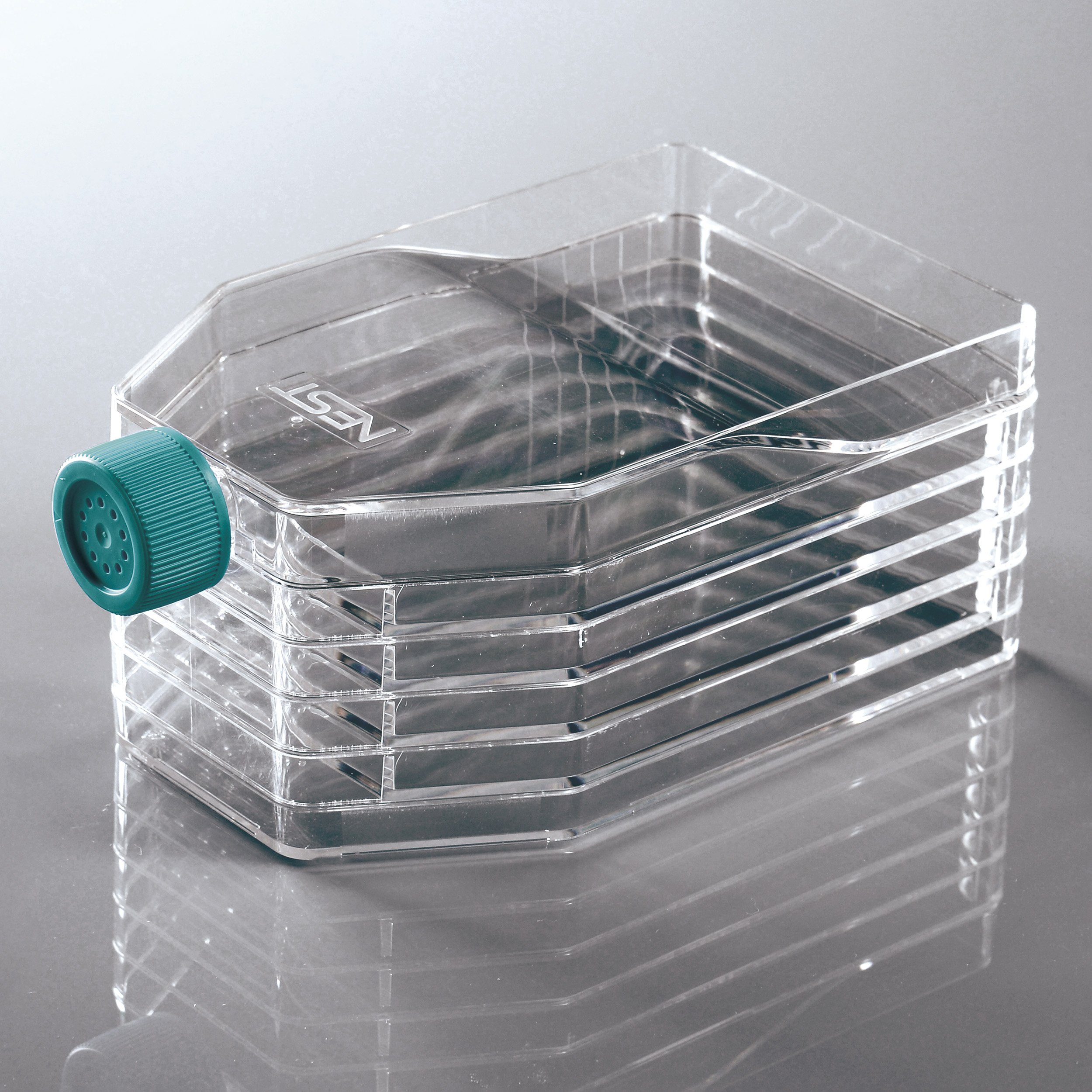 NEST Scientific 5-Layer Cell Culture Flask with Cap, Sterile