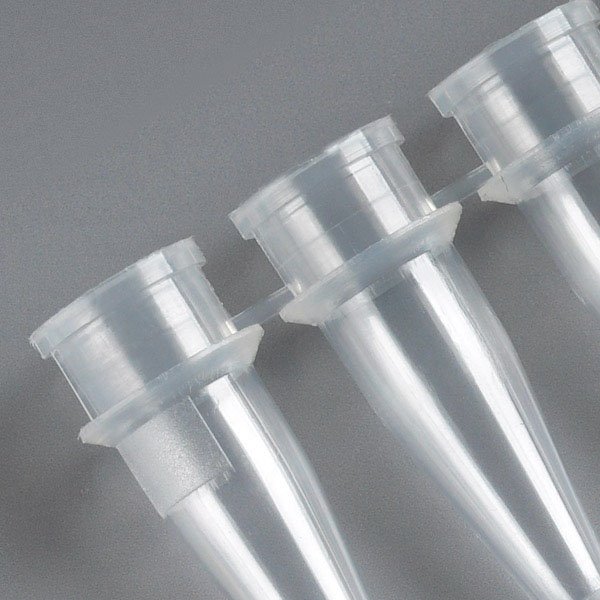 0.2ml PCR 8-Strip Tube & Separate Flat Cap – APS LABS - View #4