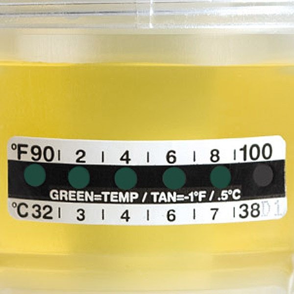 Liquid Crystal Temperature Strip for Urine Collection Containers Globe