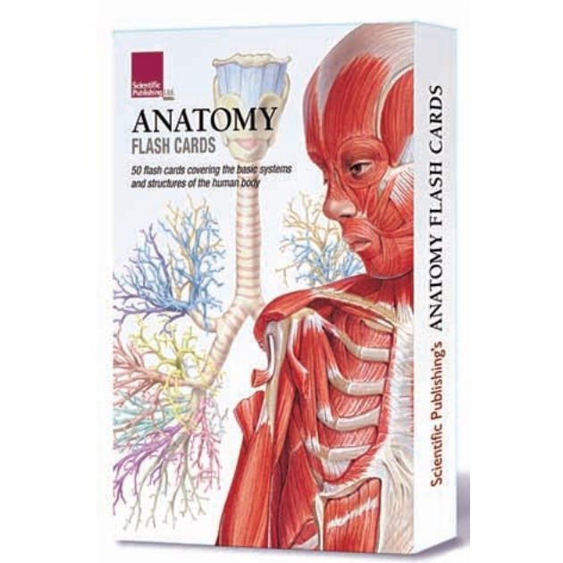 Scientific Publishing FLASH-50 Anatomy Flash Cards scientific-publishing-flash-50-anatomy-flash-cards