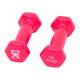 CanDo® 10-0550-2 Vinyl-Coated Cast-Iron Dumbbell - Pair, 1 lb, Pink