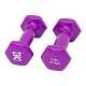 CanDo® 10-0551-2 Vinyl-Coated Cast-Iron Dumbbell - Pair, 2 lbs, Violet