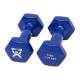 CanDo® 10-0554-2 Vinyl-Coated Cast-Iron Dumbbell - Pair, 5 lbs, Blue
