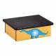 Clinton Pediatric Laminate Step Stool - Dino Days Graphic on Yellow