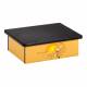 Clinton Pediatric Laminate Step Stool - Serengeti Lion Cubs Graphic on Yellow