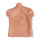 Simulaids Adam Chest Overlay