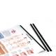 3B Scientific 1002372 Black Plastic Rod for Anatomical Charts - 50 cm (Charts are sold separately)