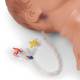Nasco 101-060 Simulaids Critical Airway Management Trainer