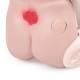 3B Scientific 1018811 Lower Trunk with Decubitus