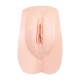 3B Scientific 1020716 Replacement Female Genital Insert for P11