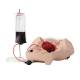 3B Scientific 1021568 Postpartum Hemorrhage Trainer, Open with Blood Bag