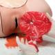3B Scientific 1021568 Postpartum Hemorrhage Trainer, Placenta Removal (Gloves not included)