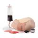 3B Scientific 1021568 Postpartum Hemorrhage Trainer