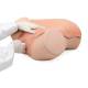 3B Scientific 1021592 SKINlike™ Gynecologic Skills Trainer - Light Skin Tone, Bimanual Pelvic Examination (Lab coat and gloves not included)