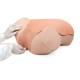 3B Scientific 1021592 SKINlike™ Gynecologic Skills Trainer - Light Skin Tone with Rectal Suppository (Lab coat, Rectal Suppository, and Gloves not included)